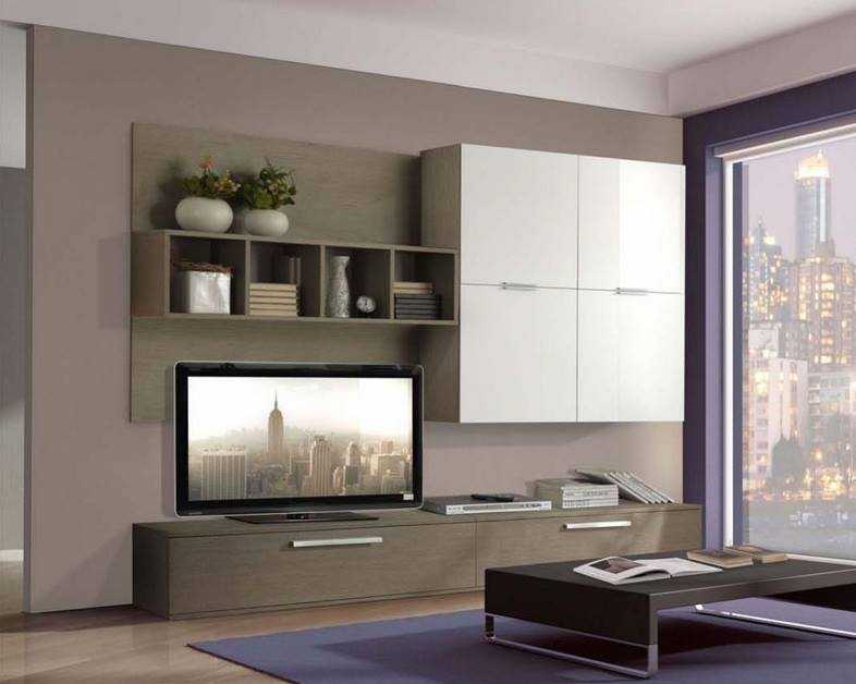 Стенки под телевизор в гостиную: разновидности и рекомендации по выбору
