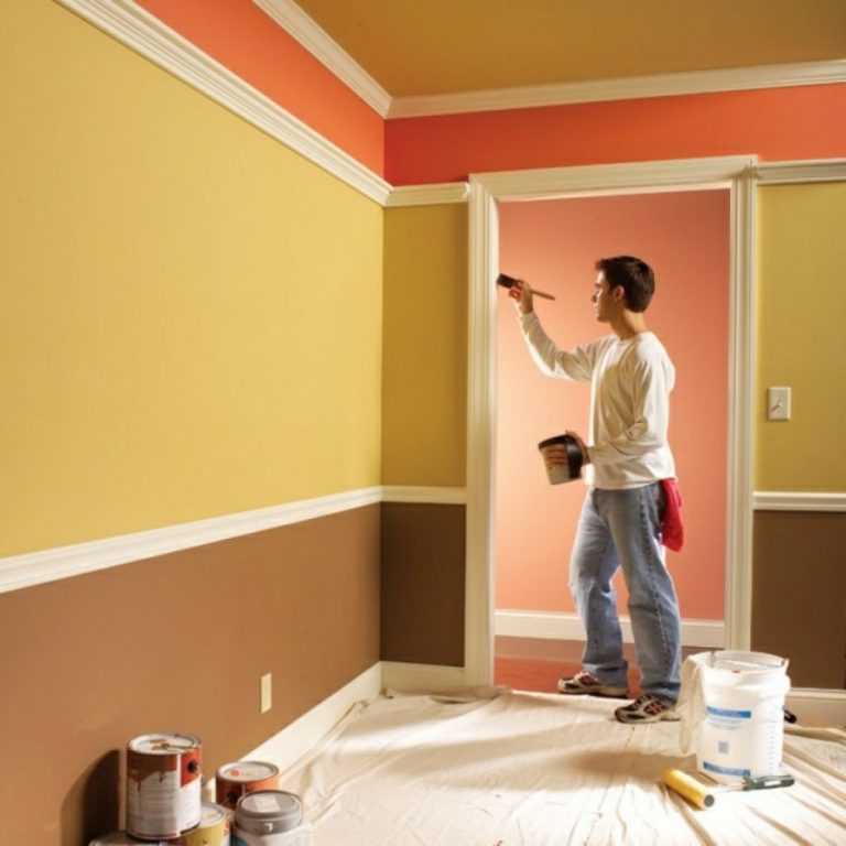 Выбор краски для стен в квартире