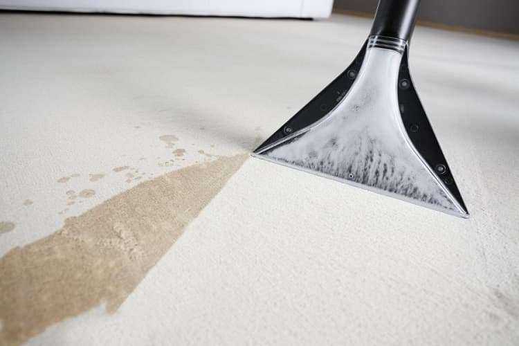 Зачем ковру нужна химчистка? виды и способы чистки, этапы работ