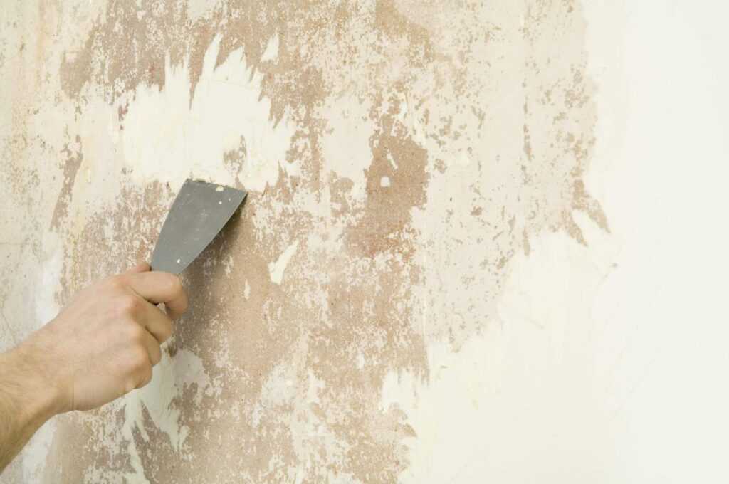 Как правильно шпаклевать стены под покраску: советы, технология + тонкости процесса