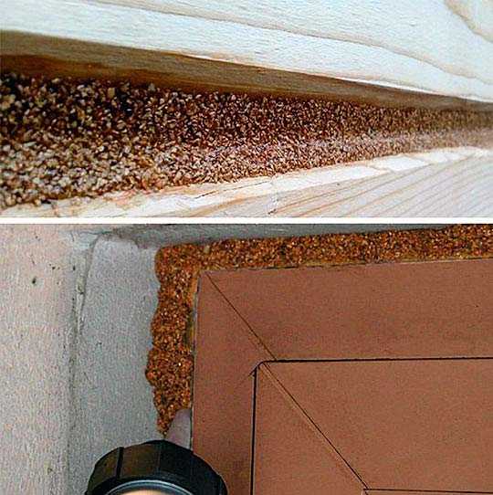 Что такое жидкая пробка? Это пробковый герметик для стыков фасада и внутренней отделки. Он позволяет заполнять швы между разнородными материалами, используется для ламината и стен, ликвидации швов между деревянными и кафельными, бетонными поверхностями.