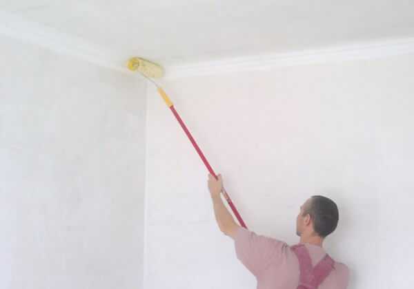 Какую краску выбрать для потолка: какая потолочная краска лучше